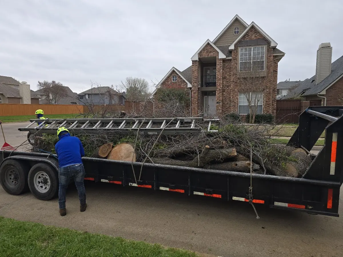 Expert Lot Clearing with proper safety equipment in Vantage